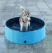Foldable Dog Swimming Pool - Cool Trends