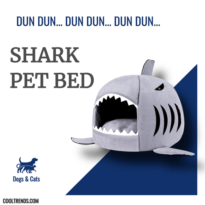 Shark Pet Bed - Cool Trends